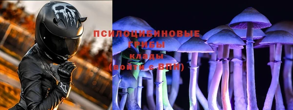 шишки Арсеньев