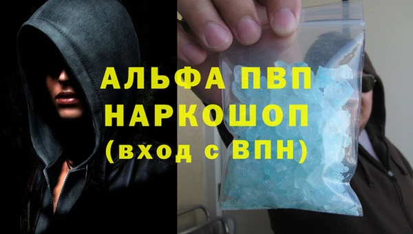 шишки Арсеньев