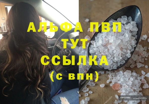 шишки Арсеньев