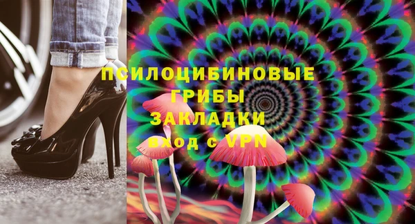 шишки Арсеньев