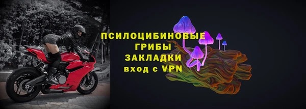 шишки Арсеньев