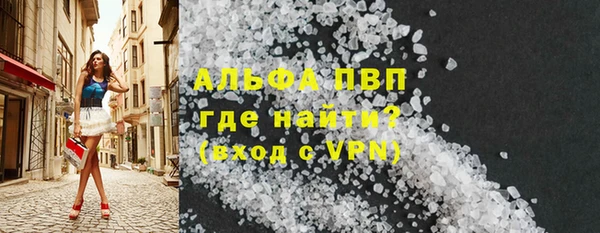 шишки Арсеньев