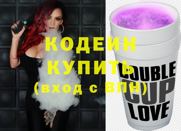шишки Арсеньев